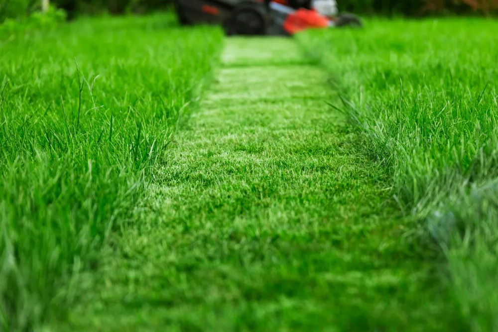 Cutting lawn in Dover-Foxcroft
