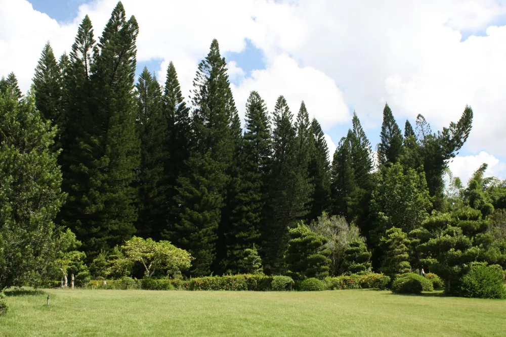 Fresh cut large lawn outside of Dover-Foxcroft ME