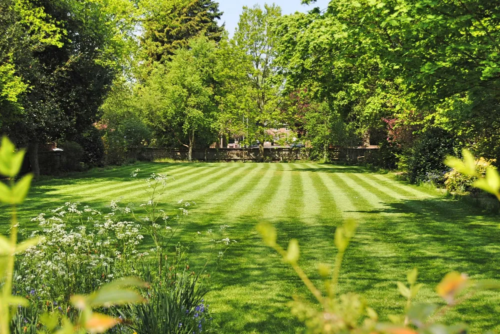Fresh cut lawn in Dover-Foxcroft ME