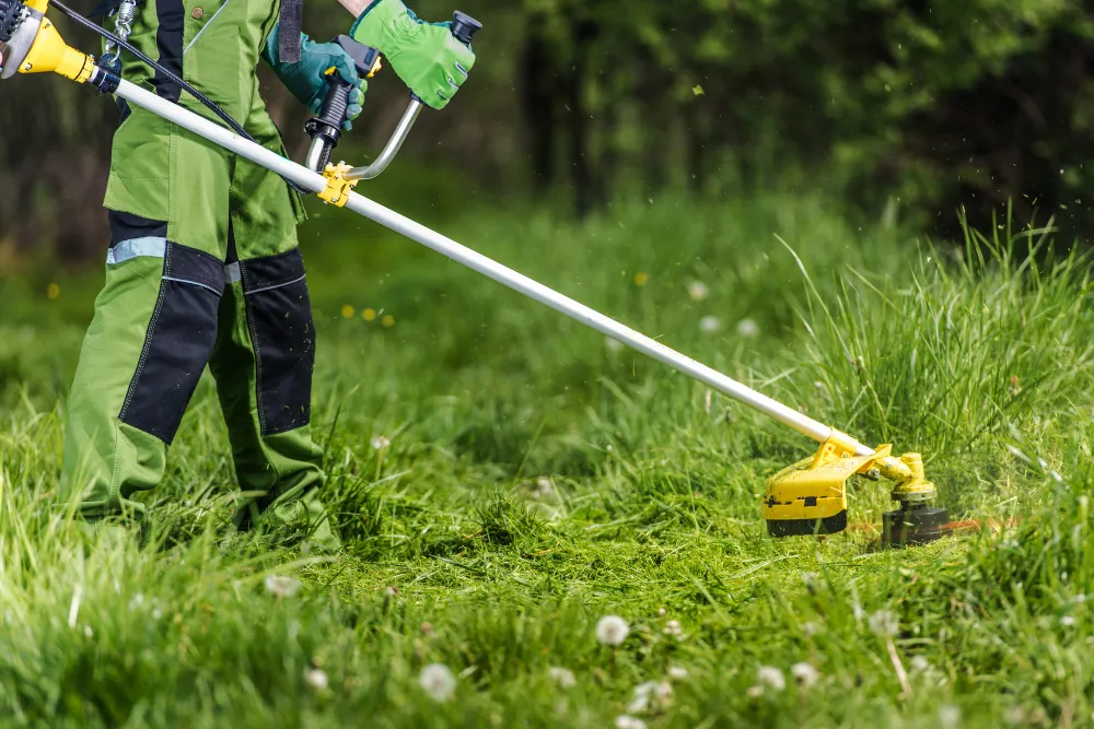 Weed whacking a yard in Dover-Foxcroft ME